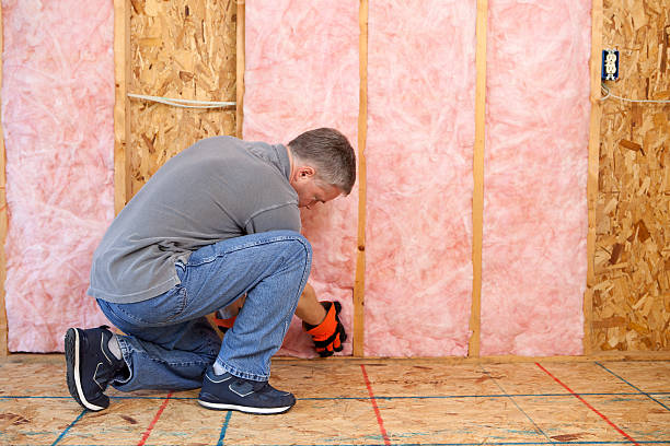 Best Residential Insulation in Three Points, AZ